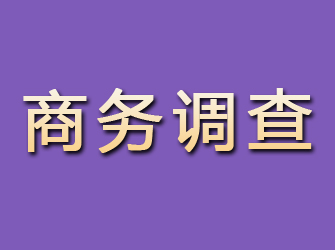 青白江商务调查